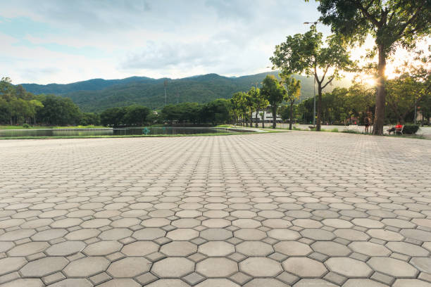 Best Residential Driveway Paver Services  in Zachary, LA
