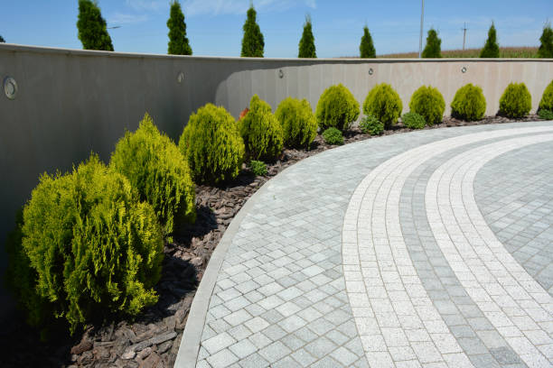 Best Custom Driveway Pavers  in Zachary, LA